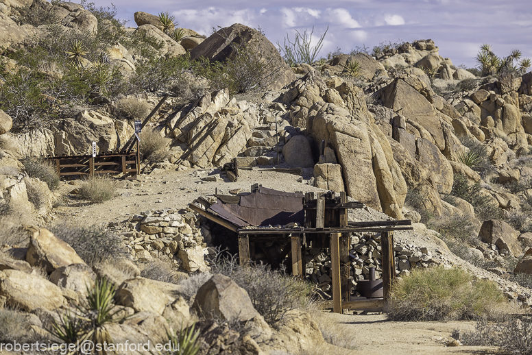 Desert Biogeography of Joshua Tree National Park